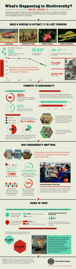 biodiversity-infographic-510x1801