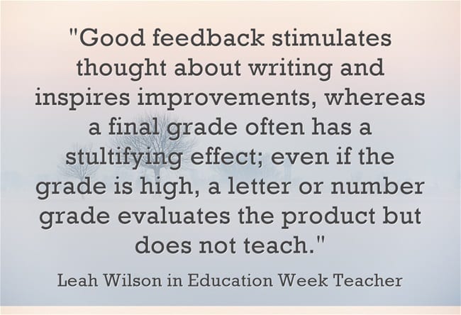 “Provide Feedback on Writing That ‘Helps Students Tell Their Story ...