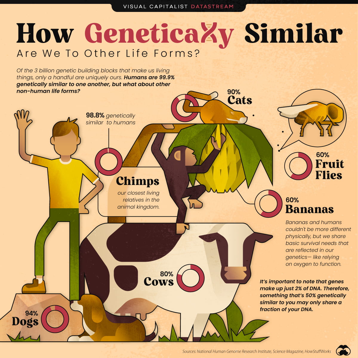 Infographic Of The Week: “How Genetically Similar Are We To Other Life