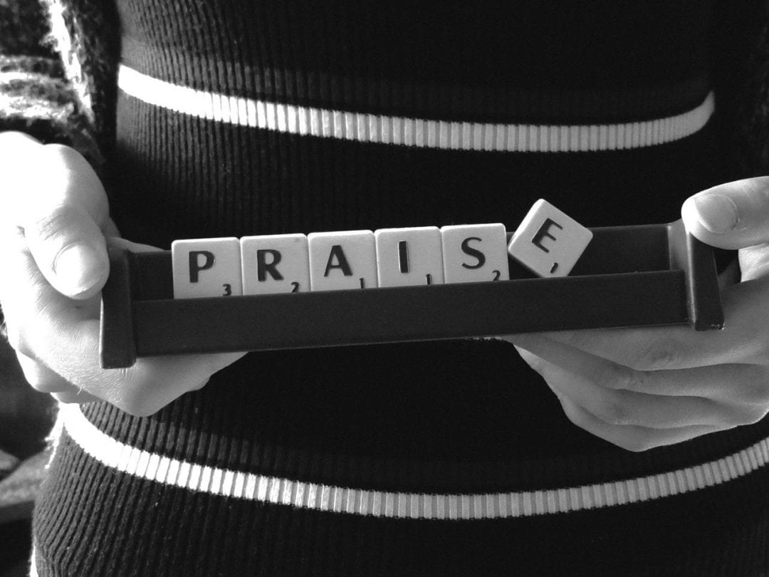 Make Sentence Of Praise In English