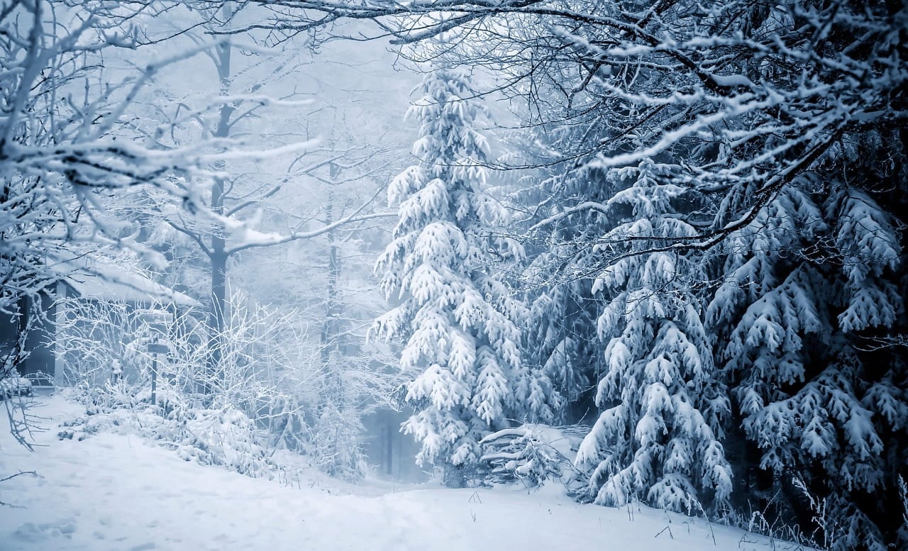 It’s Winter! Here Are Related Teaching & Learning Resources