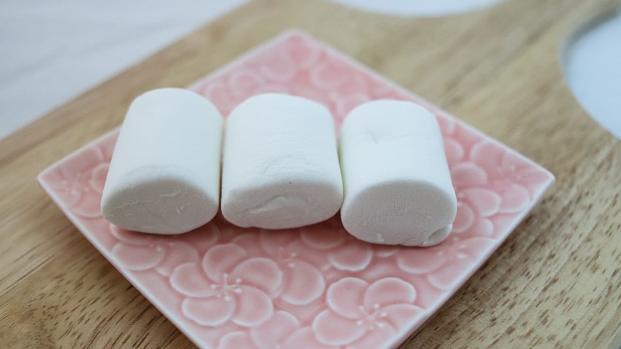 This Is A VERY Interesting & Helpful (Especially To Teachers) Take On The Marshmallow Test