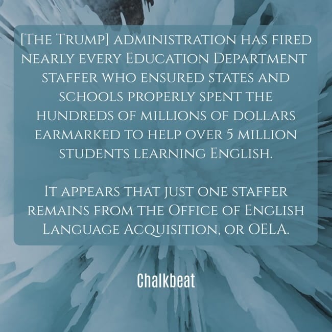 So Much For The Feds Caring About English Language Learners